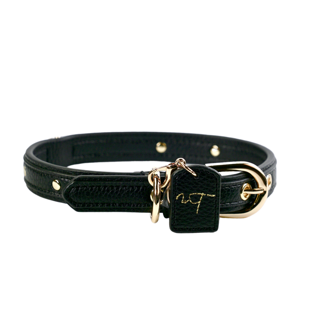 The Classic - Dog Collar